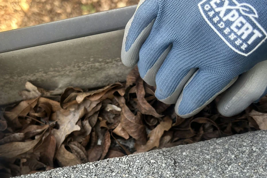 Gutter Cleaning Cornelius